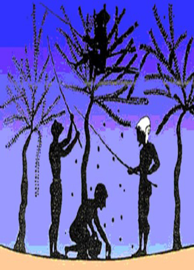 historia del Aceite de Oliva