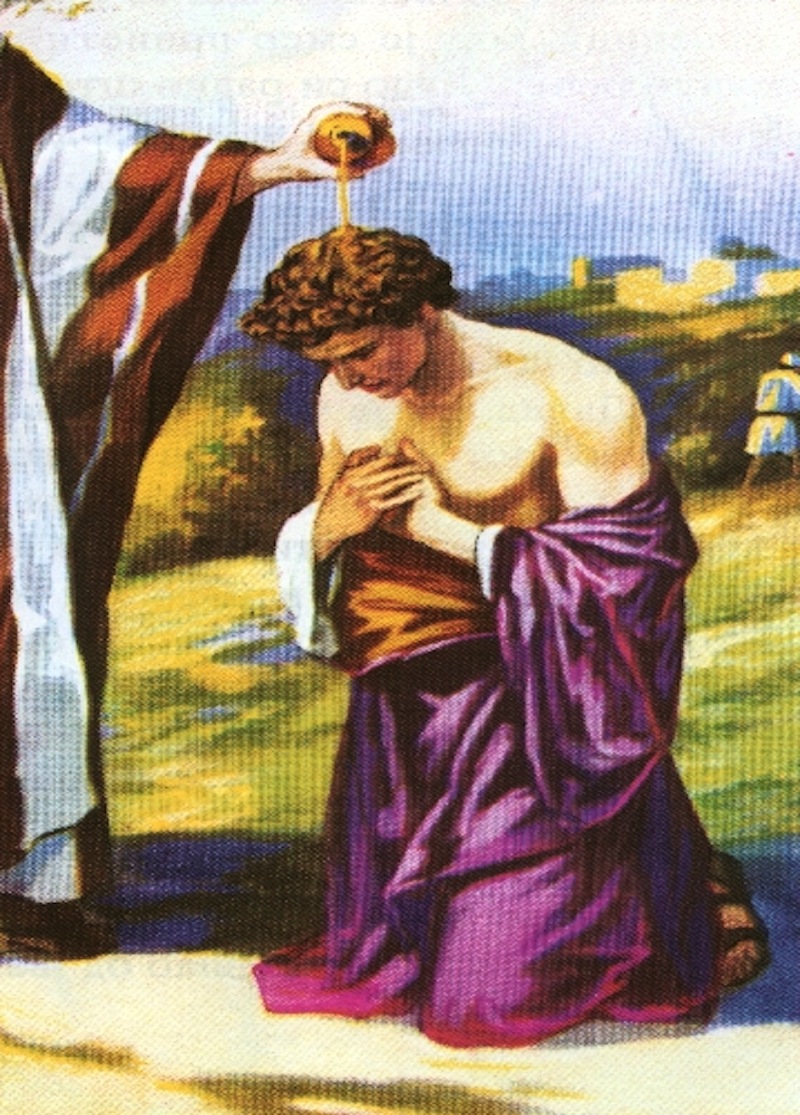 mitos del aceite de oliva