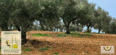 Denominación de Origen Montes de Toledo