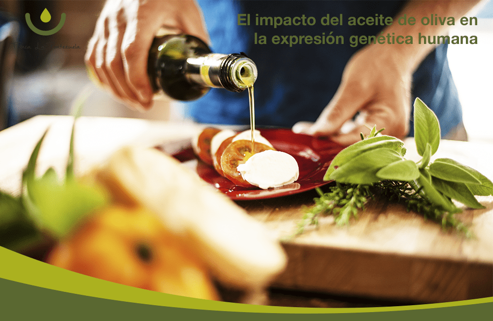Aceite de oliva y expresión genética humana