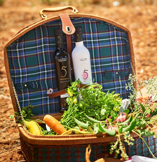 Nuestras respuestas más relevantes a tus consultas sobre AOVE