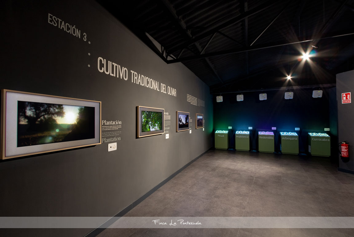 Finca La Pontezuela – Centro de Interpretación Finca La Pontezuela - Centro de Interpretación