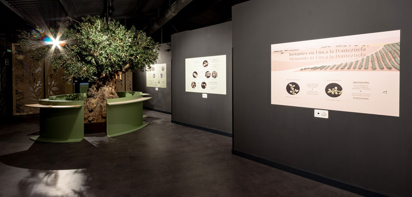 ¿Qué hacer en los Montes de Toledo? Centro de Interpretación del Olivar