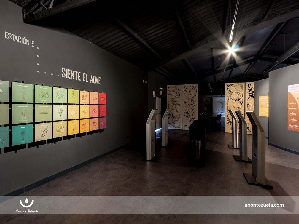 El Centro de Interpretación del Olivar 5 Elementos referente del oleoturismo El Centro de Interpretación del Olivar 5 Elementos referente del oleoturismo