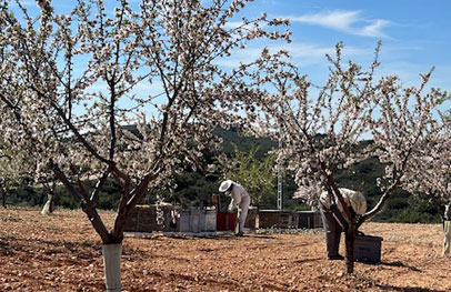 Día mundial de las abejas en Finca La Pontezuela