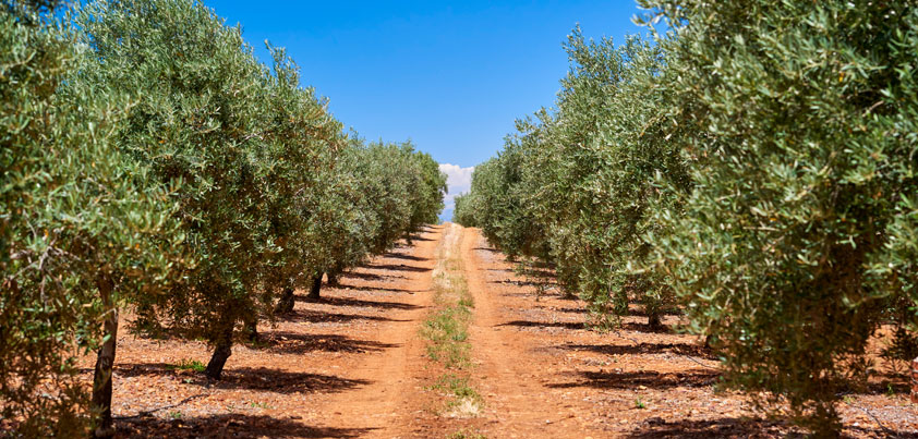 La Carta Europea de Turismo Sostenible: Un compromiso con la naturaleza y el turismo responsable