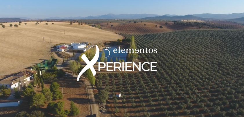 Inauguración de la nueva sala inmersiva 5 Elementos Xperience