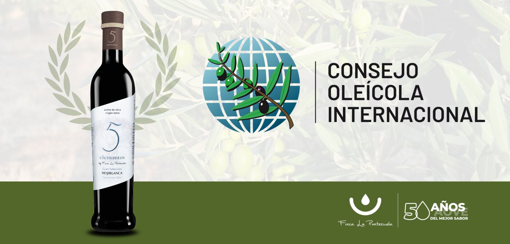 Finca La Pontezuela gana el Premio Mario Solinas 2025 del Consejo Oleícola Internacional